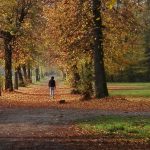 Parco di Monza: respiro di natura