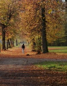 Scopri di più sull'articolo Parco di Monza: respiro di natura