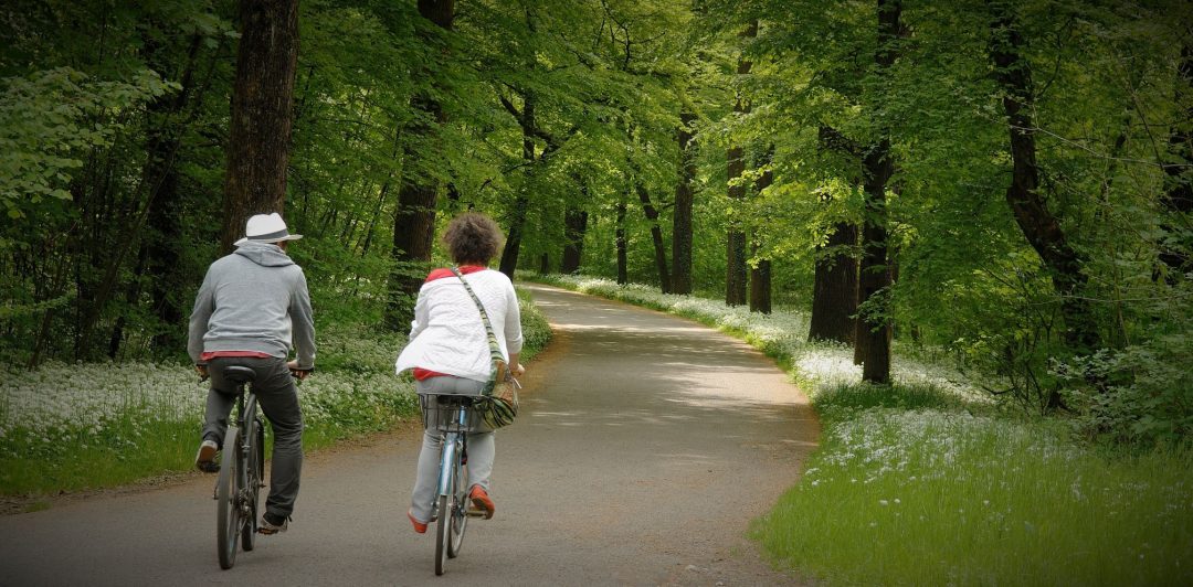 noleggio biciclette al parco di monza